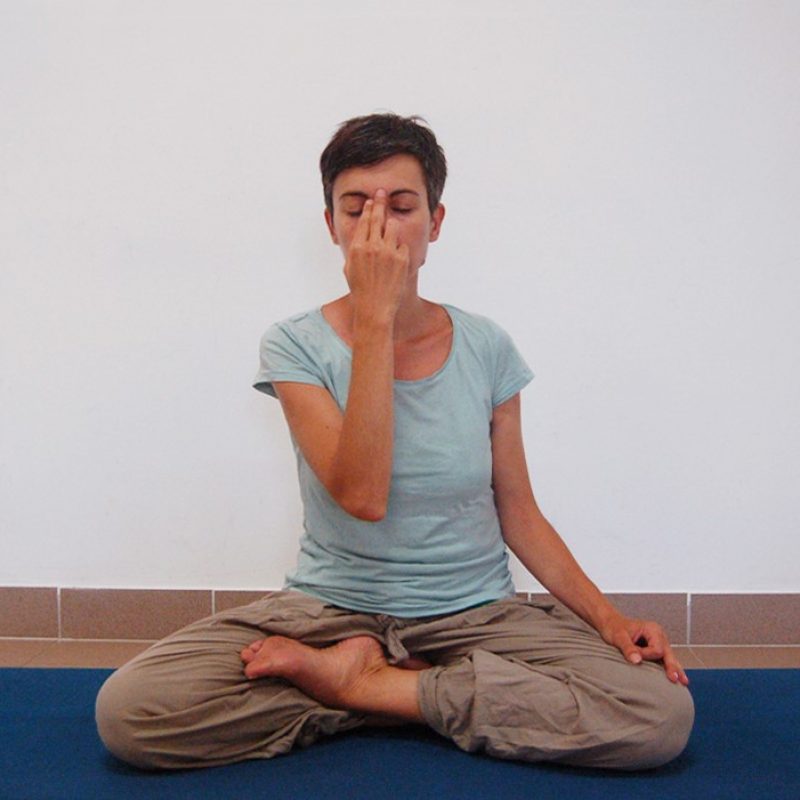 h_Satyananda Yoga Academy Europe nadi shodana pranayama